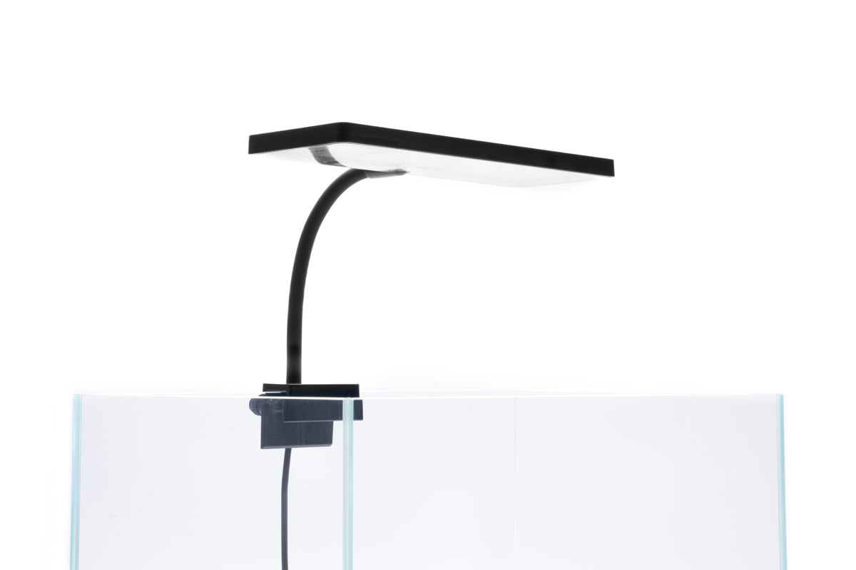 Aqua Worx EOS LED Aquarium Light - White