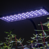 Aqua Worx EOS LED Aquarium Light - White