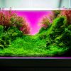 UNS Atmos Aquarium Light Background