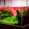 UNS Atmos Aquarium Light Background