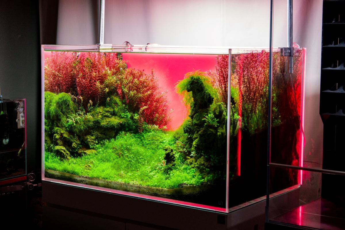 UNS Atmos Aquarium Light Background