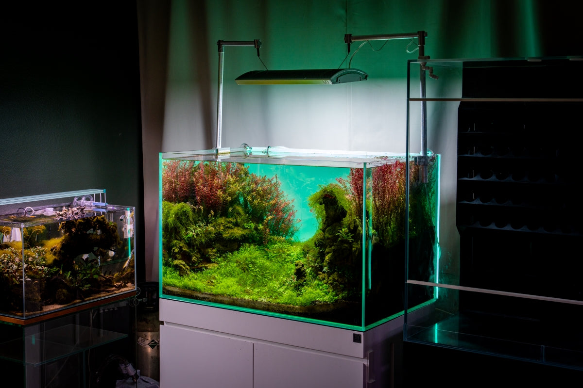 UNS Atmos Aquarium Light Background