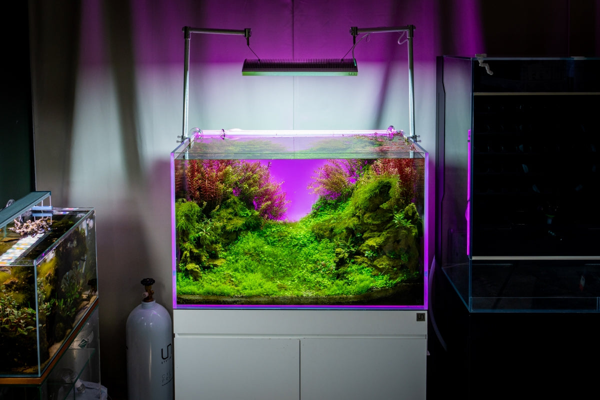 UNS Atmos Aquarium Light Background