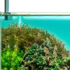 UNS Atmos Aquarium Light Background