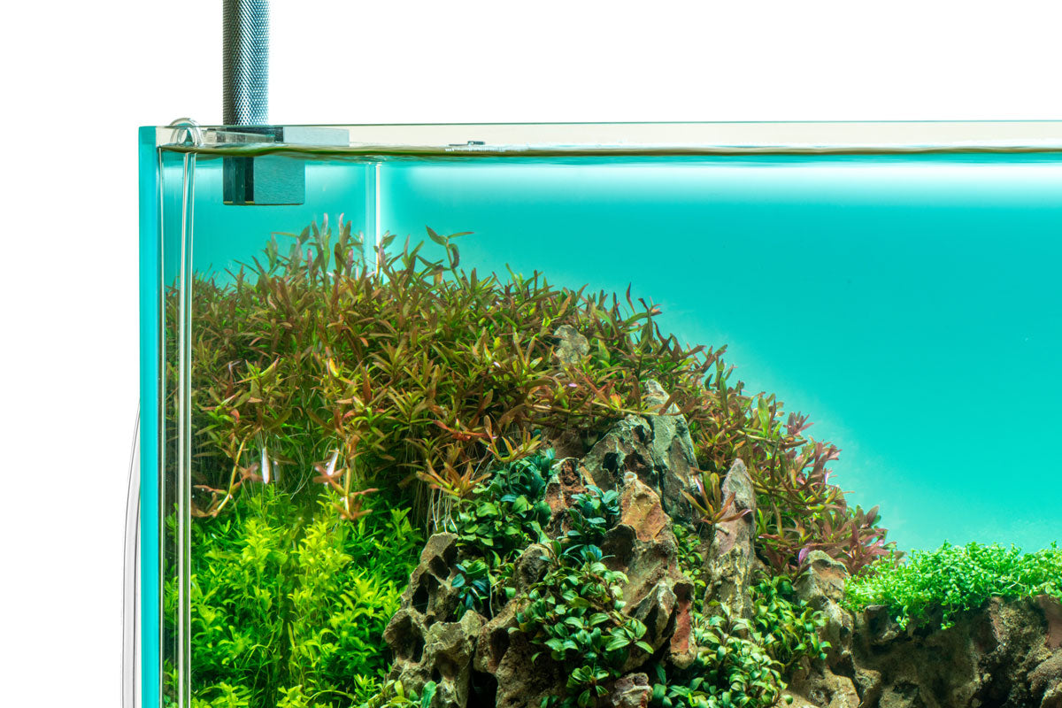 UNS Atmos Aquarium Light Background