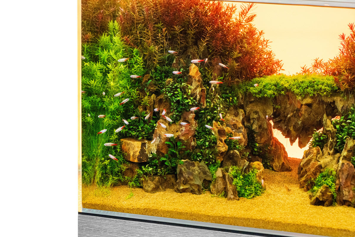 UNS Atmos Aquarium Light Background