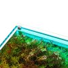 UNS Atmos Aquarium Light Background