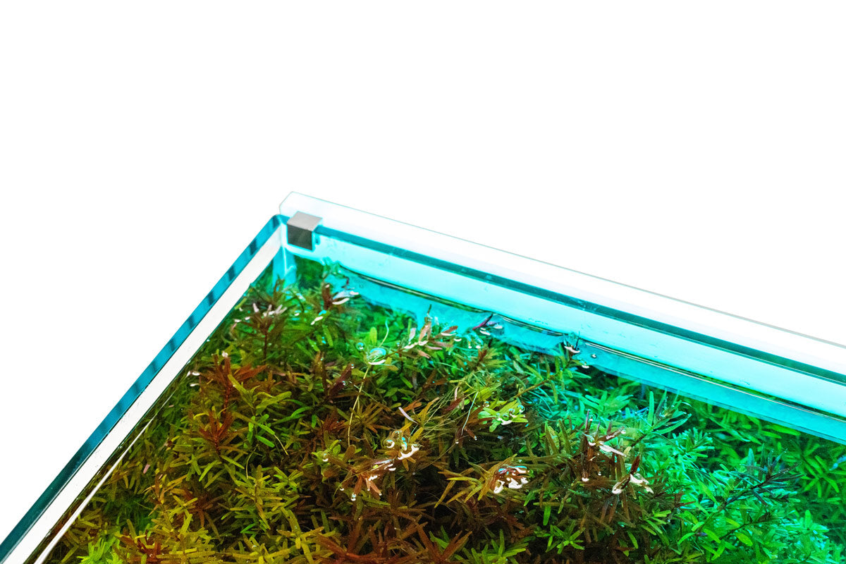 UNS Atmos Aquarium Light Background