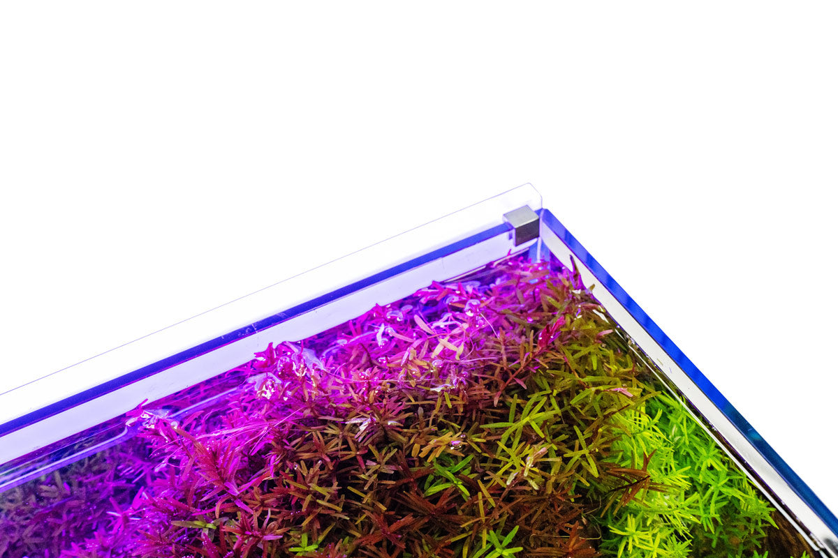 UNS Atmos Aquarium Light Background