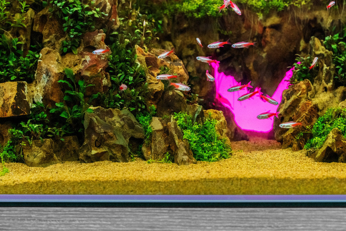 UNS Atmos Aquarium Light Background