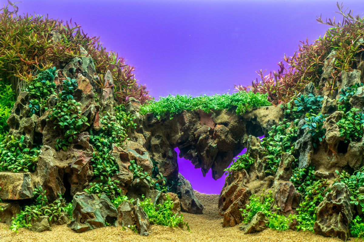 UNS Atmos Aquarium Light Background