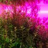 UNS Atmos Aquarium Light Background