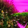 UNS Atmos Aquarium Light Background