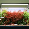 Twinstar LED - S Series Aquarium Light Fixture
