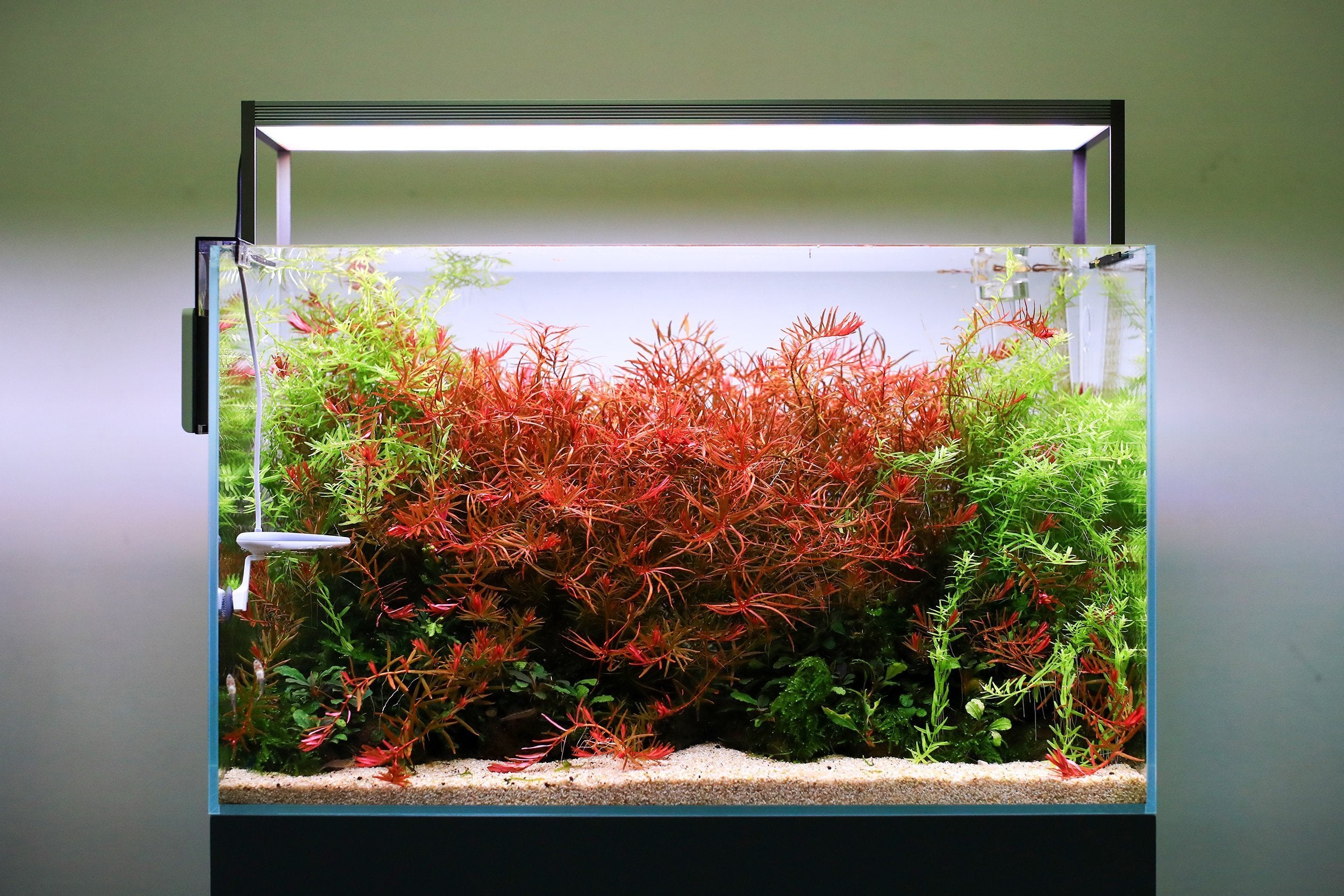 Twinstar LED - S Series Aquarium Light Fixture