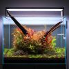 Twinstar LED - S Series Aquarium Light Fixture