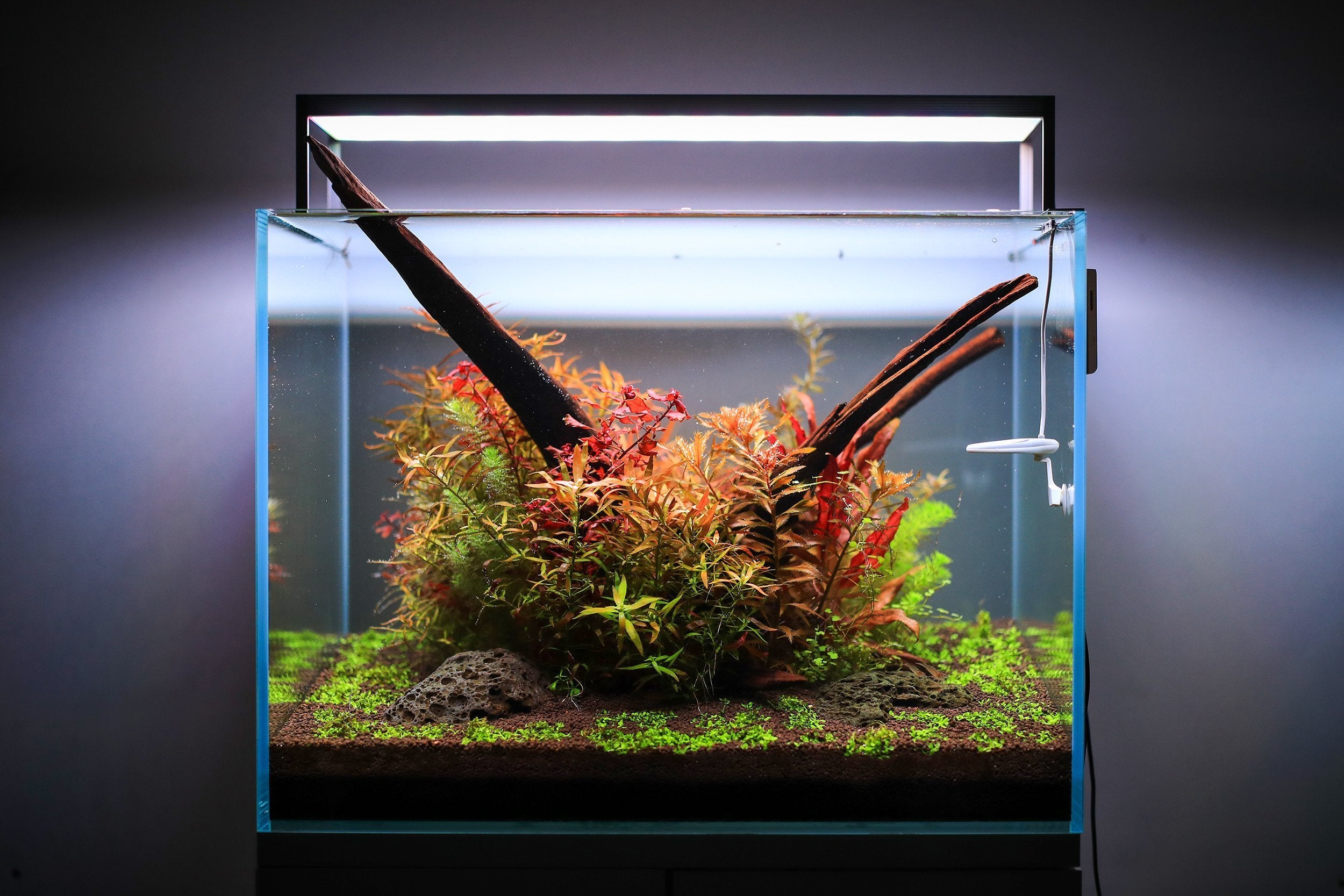 Twinstar LED - S Series Aquarium Light Fixture