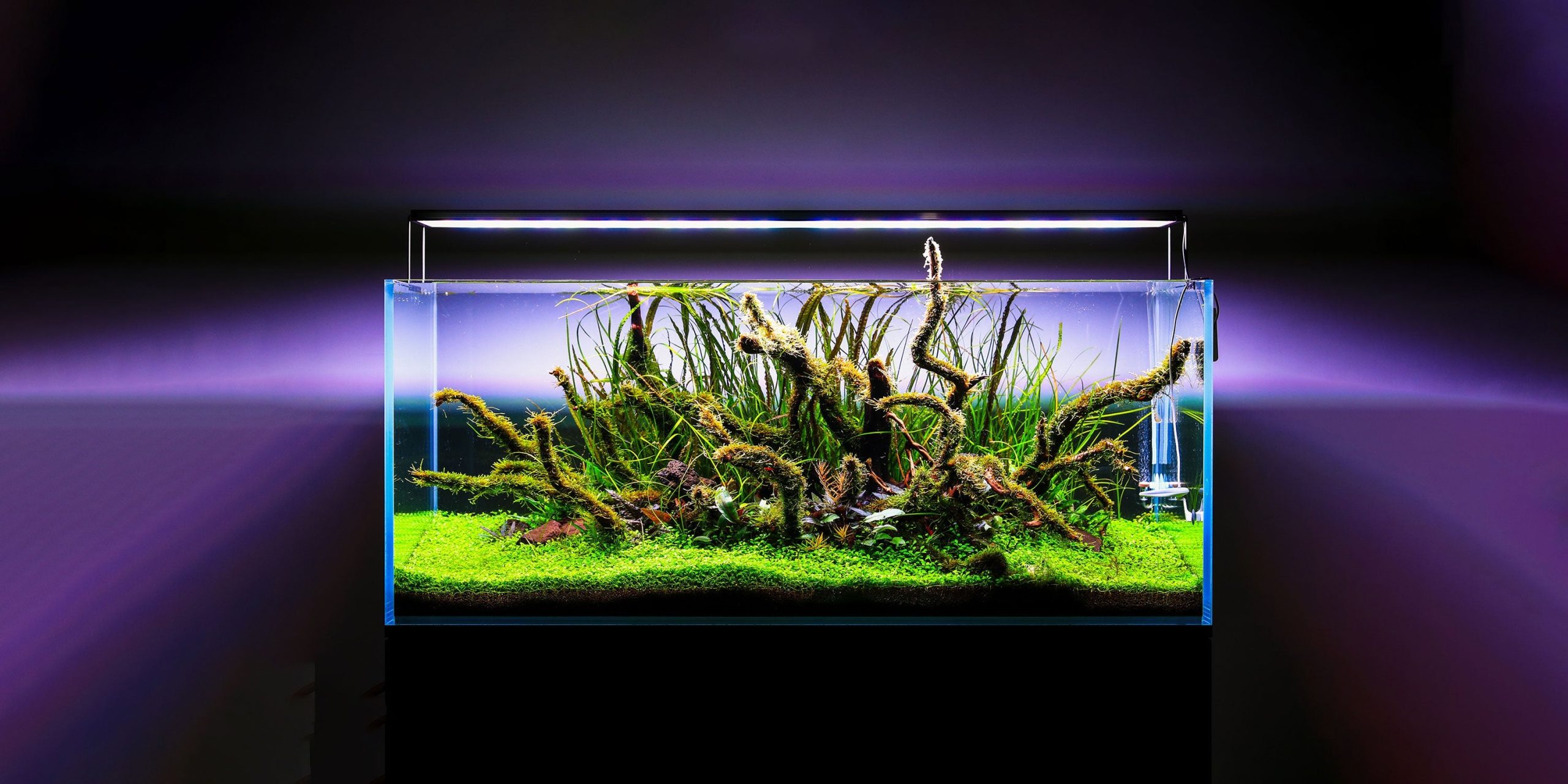 Twinstar LED - S Series Vr. V Aquarium Light Fixture