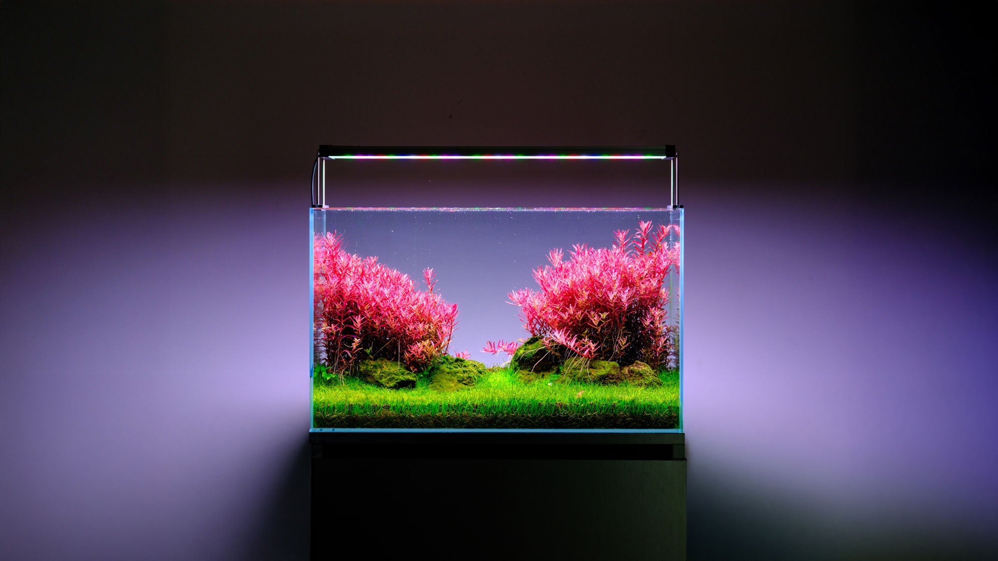 Twinstar LED - S Series Vr. V Aquarium Light Fixture