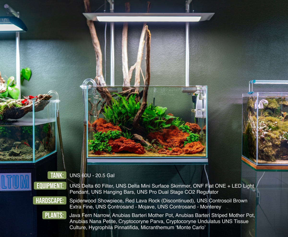 anubias-nana-petite-1131929585.jpg UNS Light Hanging Bar