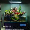 anubias-nana-petite-1131929596.jpg UNS Light Hanging Bar