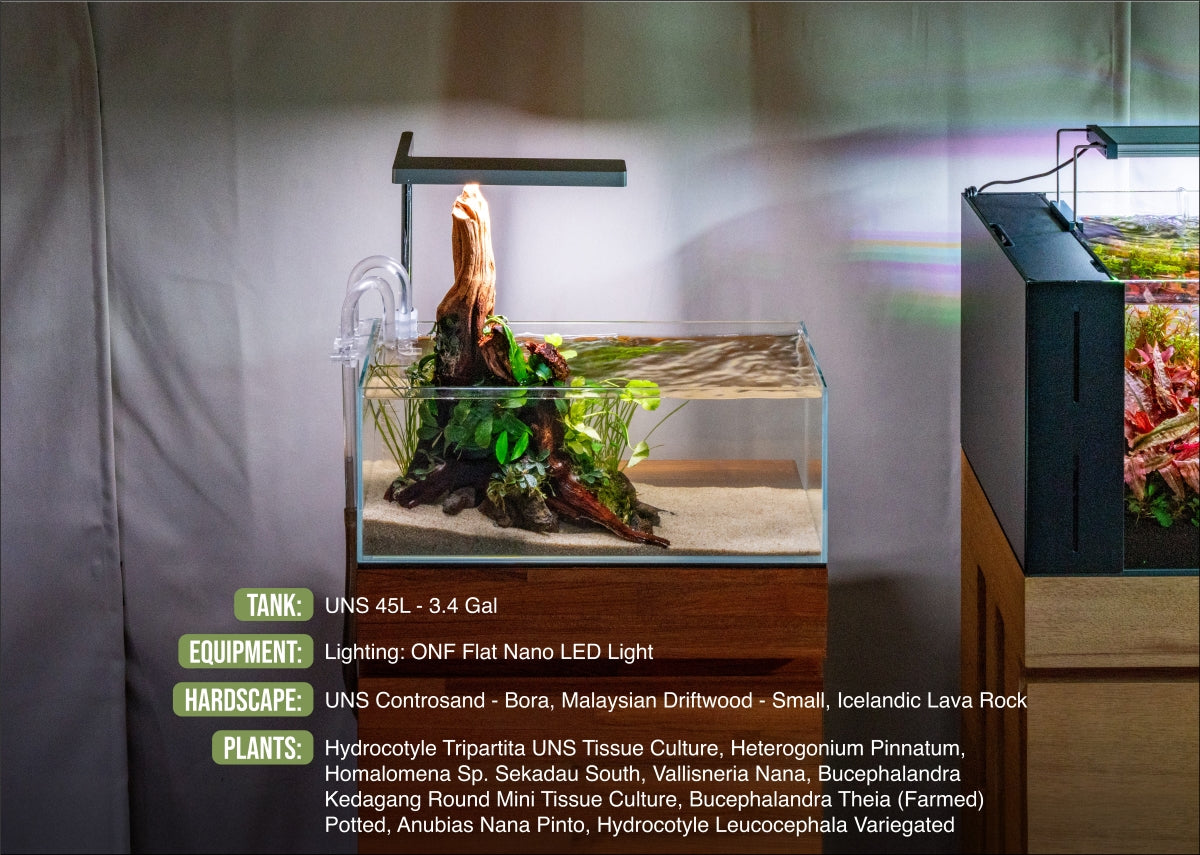 vallisneria-nana-1131929594.jpg ONF Flat Nano LED Light