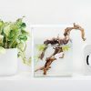 onf-flat-nano-stand-led-light-white-30384488218824.jpg ONF Flat Nano+ Stand LED Light - White