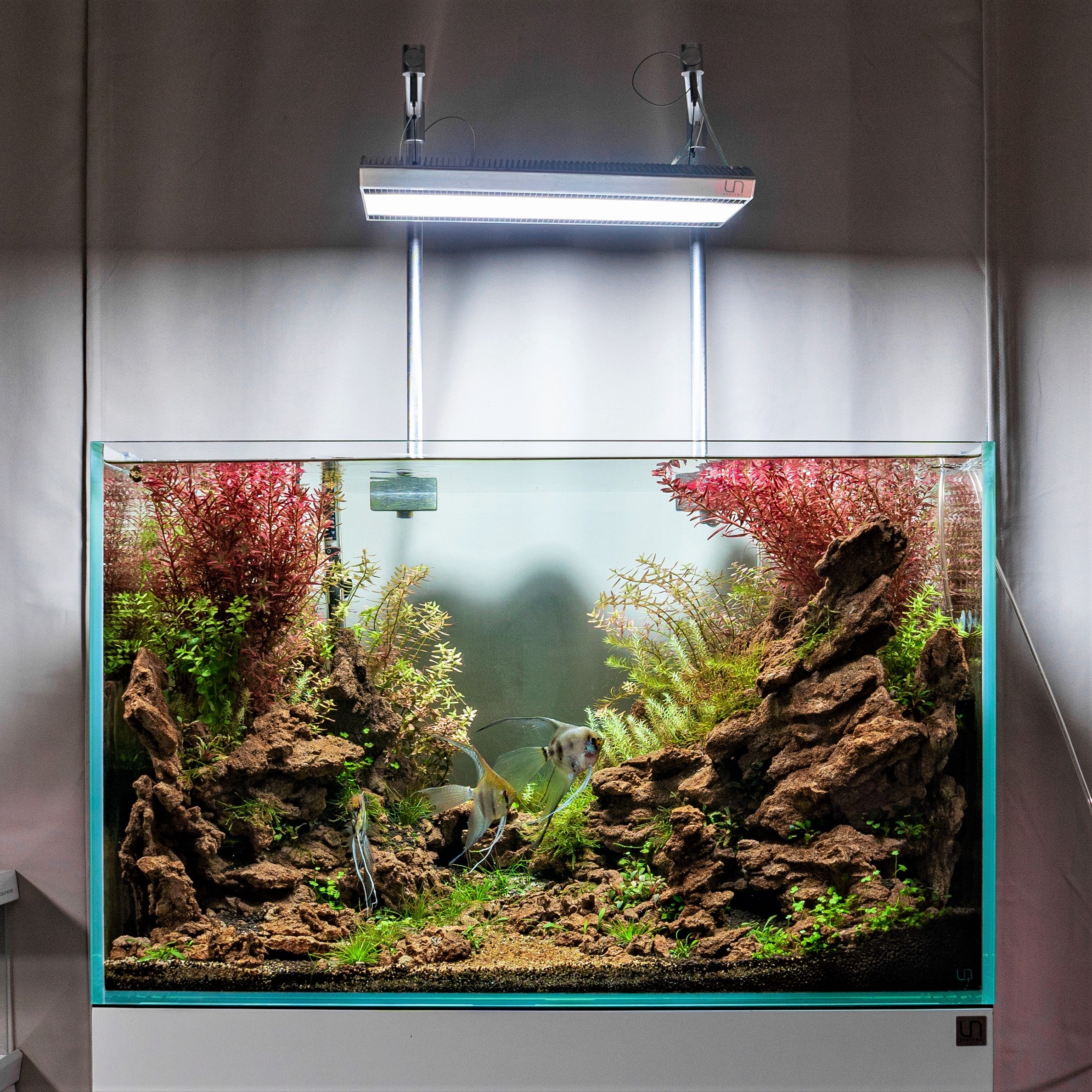 Aqua Worx EOS LED Aquarium Light - RGB